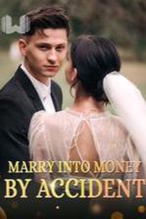 Cover of Marry into Money by Accident